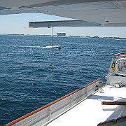 Picture 043